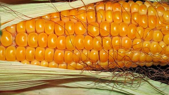 What you shouldn't eat while on a keto diet